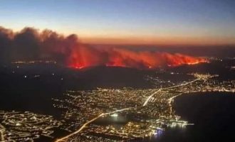 Φάμελλος για τη φωτιά στην Αττική: «Ο κ. Μητσοτάκης χωρίς ντροπή ανακοίνωσε -ξανά- μέτρα και δράσεις που είχαν σχεδιαστεί από την κυβέρνηση ΣΥΡΙΖΑ (2019)»