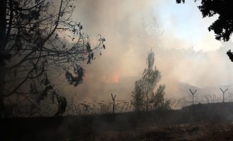 Φωτιά στον Βαρνάβα: Μήνυμα του 112 για απομάκρυνση και από τον Μαραθώνα