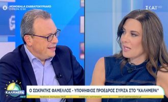 Σωκ. Φάμελλος: «Τον Ιούλιο ψηφίσαμε ομόφωνα ότι θα έχουμε πρόταση διεκδίκησης προεκλογικής προοδευτικής συμμαχίας με προτεραιότητα το ΠΑΣΟΚ»