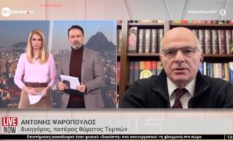 Αντώνης Ψαρόπουλος (πρώην σύζυγος Καρυστιανού): «Το αν με ενοχλεί ή όχι θα το κρατήσω για εμένα»