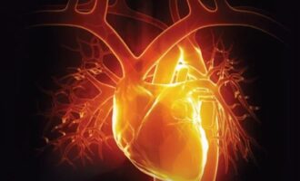 Θεραπεία RNA: Ενδομυϊκή ένεση θα μπορούσε να βοηθήσει την καρδιά να επουλωθεί μόνη της μετά από έμφραγμα