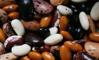 Η Τουρκία «έκοψε» το νερό σε Συρία και Ιράκ και τους εξάγει τα όσπρια που δεν μπορούν να καλλιεργήσουν λόγω λειψυδρίας